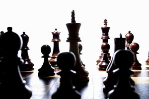 蘇尼特左旗飼料昆蟲有限責任公司